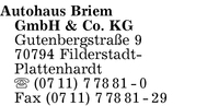 Autohaus Briem GmbH & Co. KG
